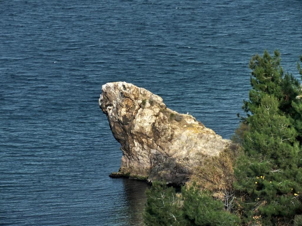 Dogalya Hotel Mudanya Kültér fotó