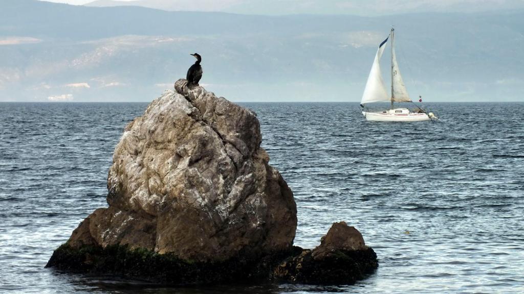 Dogalya Hotel Mudanya Kültér fotó